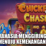 RAHASIA MENGGIRING AYAM MENUJU KEMENANGAN BESAR