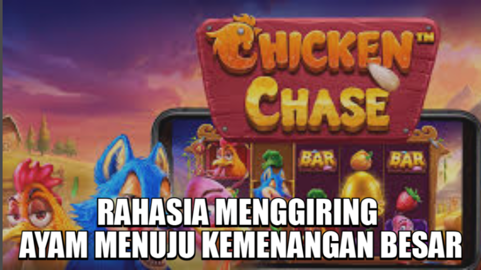 RAHASIA MENGGIRING AYAM MENUJU KEMENANGAN BESAR